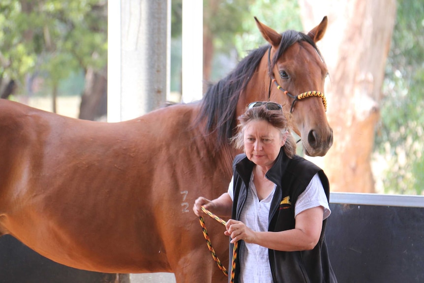 Anne Young with one of the horses that arrived on her property in April 2016.