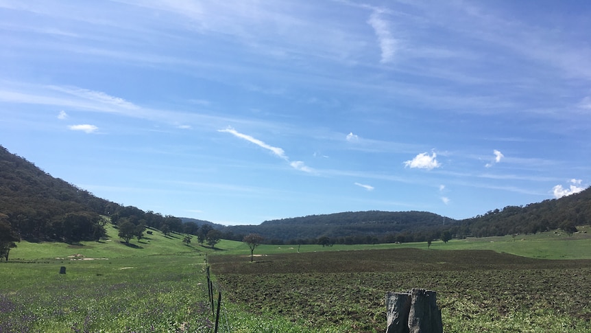 A view of Colin Clapham's property.