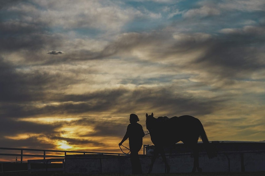 A silhouette of a woman walking a large horse in paddock with a cloudy sunrise behind them.