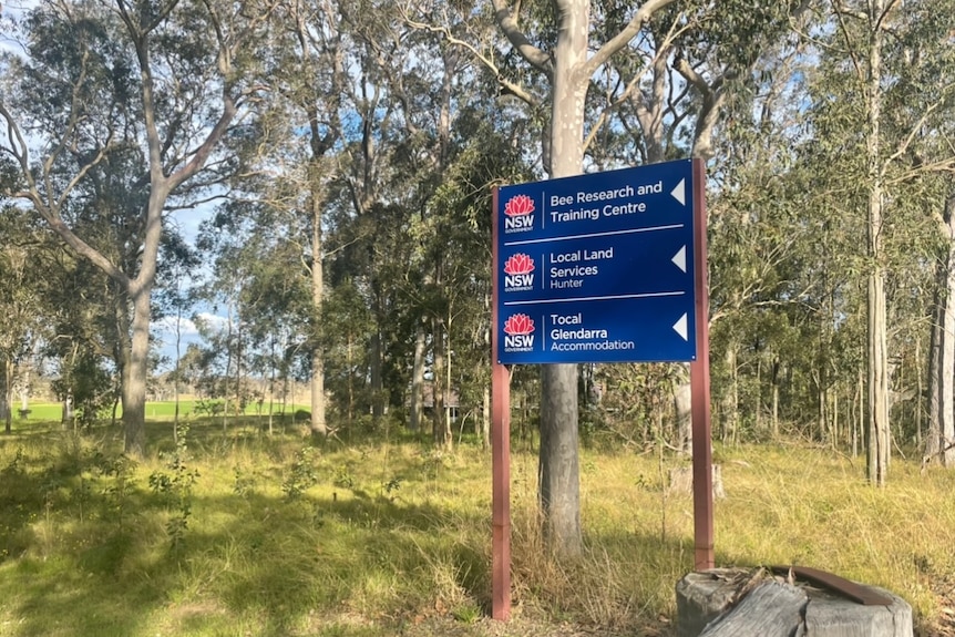 A blue sign in the middle of a paddock reads "bee research and training center" with an arrow in its direction.