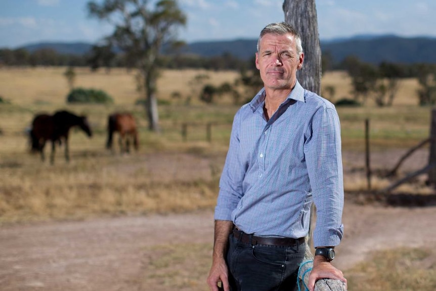 A man stands in a paddock