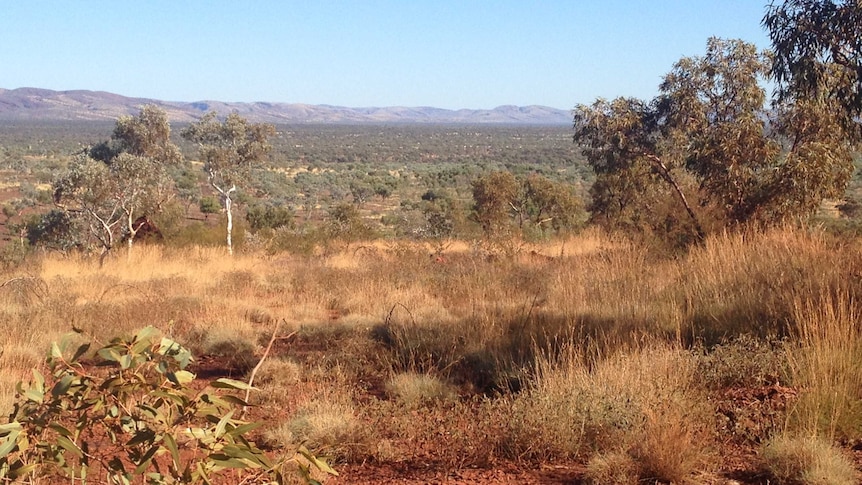 The Karajini National Park in Pilbara region of Western Australia
