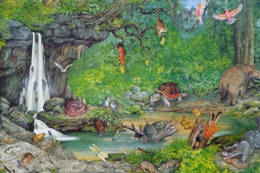 An illustration of a diverse forest landscape.