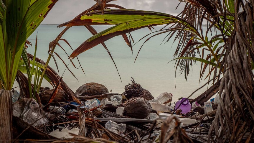 Plastic washed up at Direction Island.