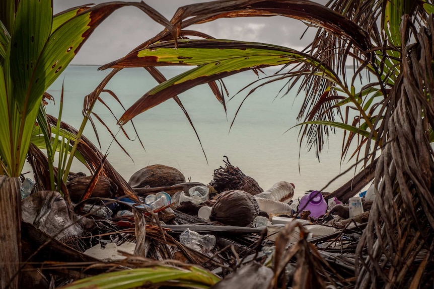 Plastic washed up at Direction Island.