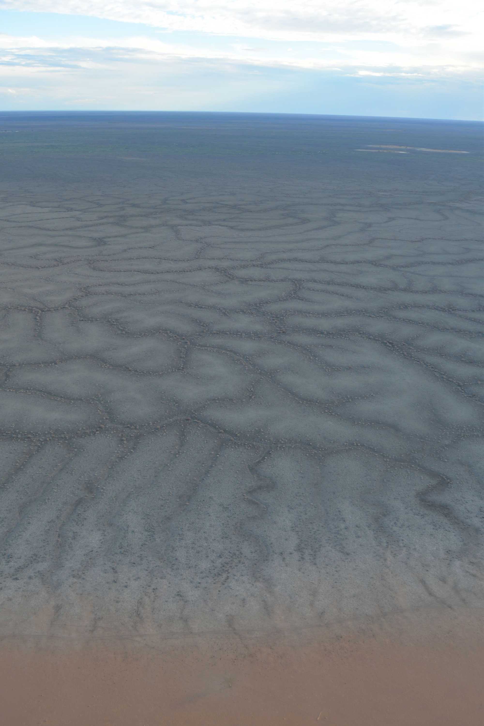 One too many droughts for western QLD grazier - ABC News