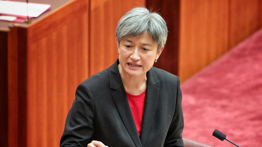 Penny Wong gestures while speaking in the Senate.