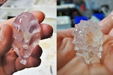 Transparent jelly fish like creature being held by a person.