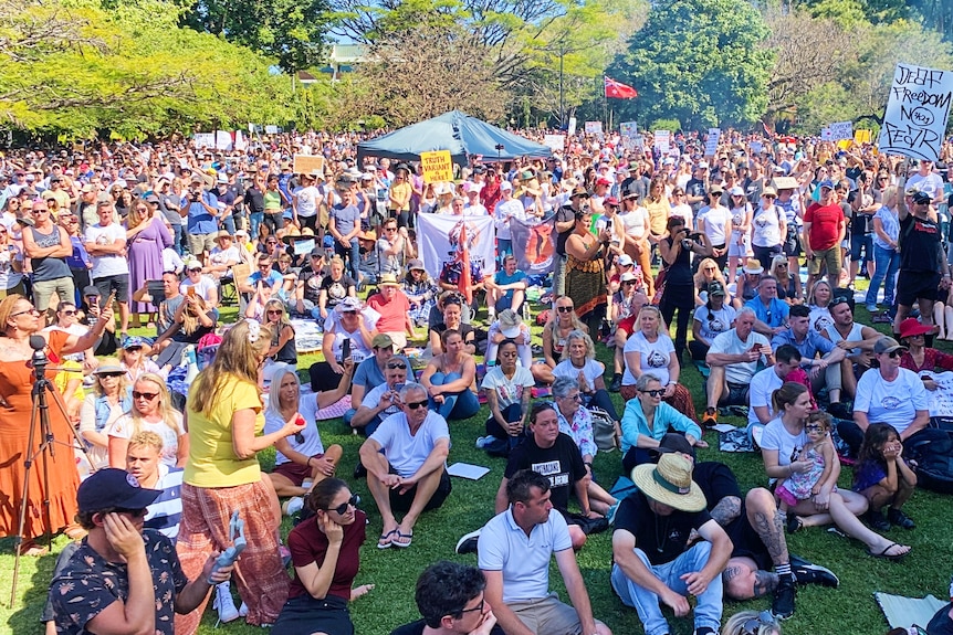 Crowds of people at a rally