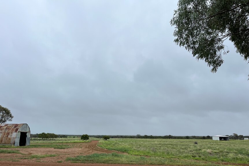 grey storm clouds hover over a property in north west Queensland