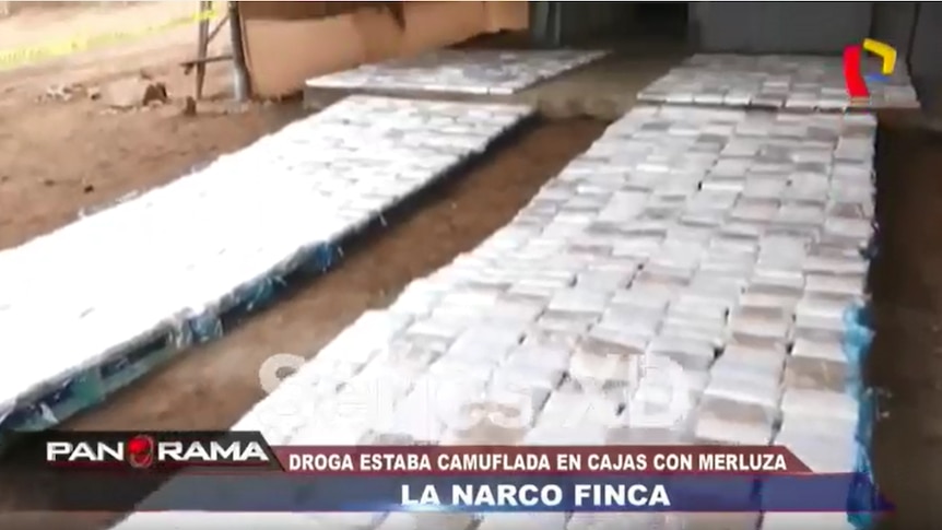 More than 1.2 tonnes of cocaine was seized by law enforcement officers in Peru in June 2018.