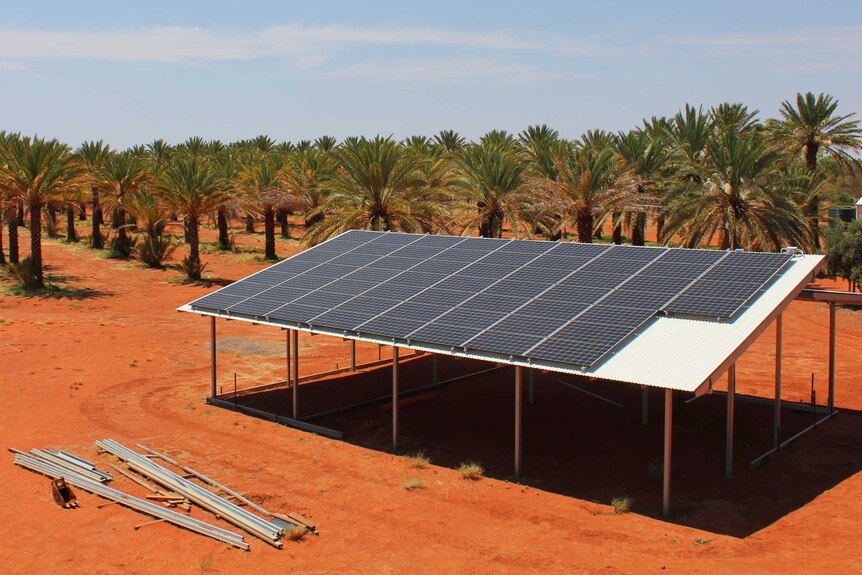 Solar panels on the roof of a shed in front of rows of date palms on red dirt.