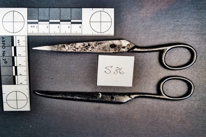 Broken scissors that had been used to open the parcel containing the NCA bomb.