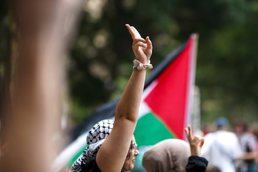 A person wearing a keffiyeh holds their fingers up in a peace sign, a Palestinian flag is in the background.