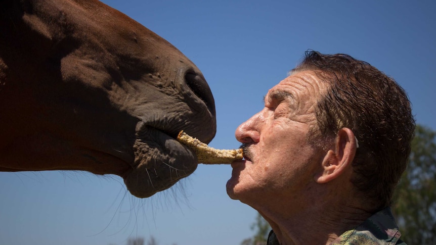 Rick Pisaturo feeds horse a piece of bread.