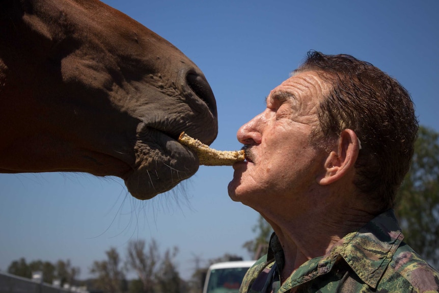 Rick Pisaturo feeds horse a piece of bread.