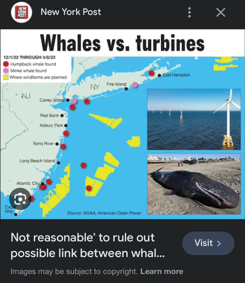 Whale deaths offshore wind facebook
