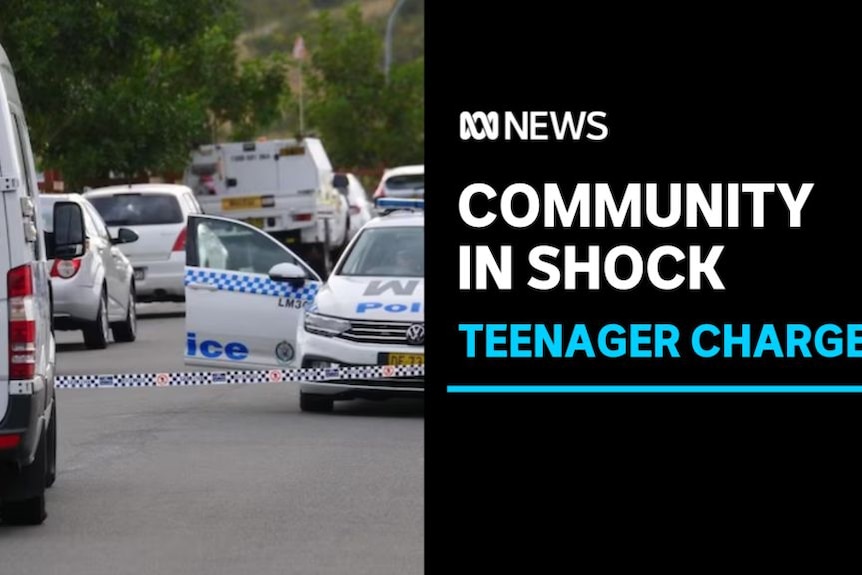 Community in Shock, Teenager Charged: Police vehicles and police tape at a crime scene on a suburban street.