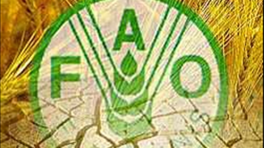 Продовольственная и сельскохозяйственная оон. Продовольственная организация ООН ФАО. ФАО воз. Продовольственная и сельскохозяйственная организация (ФАО). ФАО логотип.
