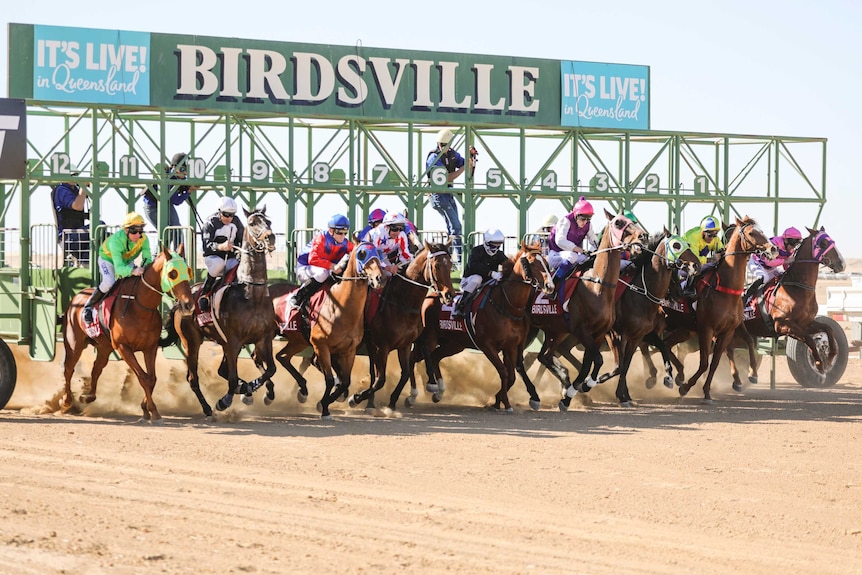 Horses ridden by jockeys in colourful jerseys are out of the boxes and start racing on a dusty track under the sign Birdsville.