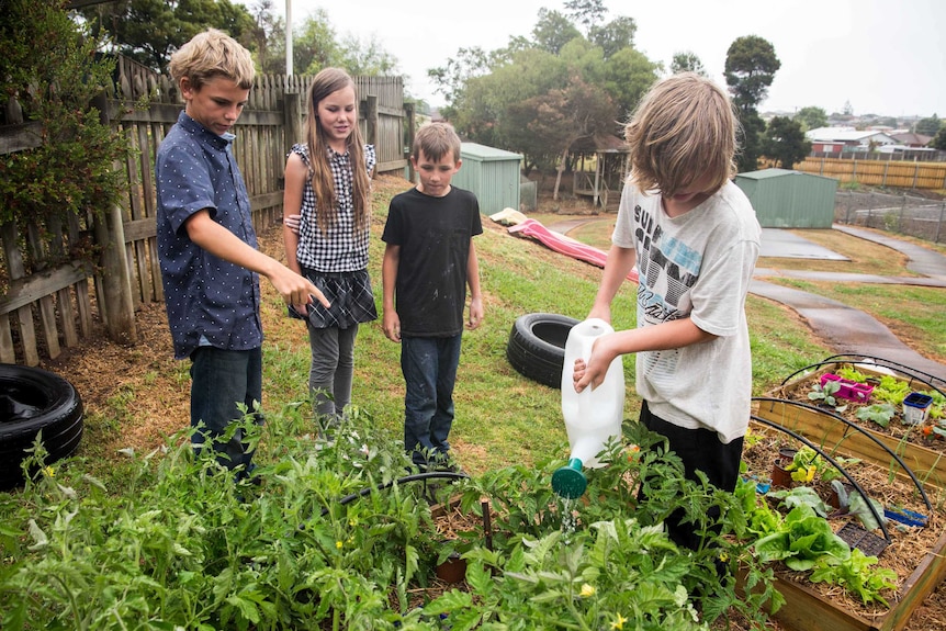 The Everett children at community garden.