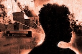 A graphic containing a silhouette of a side profile of a woman's face. A road sign that says 'Palmerston' is in the background