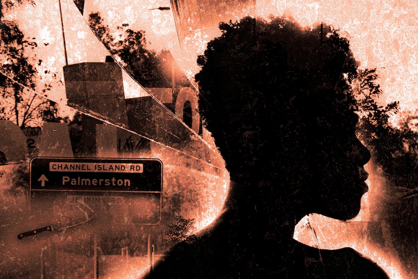A graphic containing a silhouette of a side profile of a woman's face. A road sign that says 'Palmerston' is in the background
