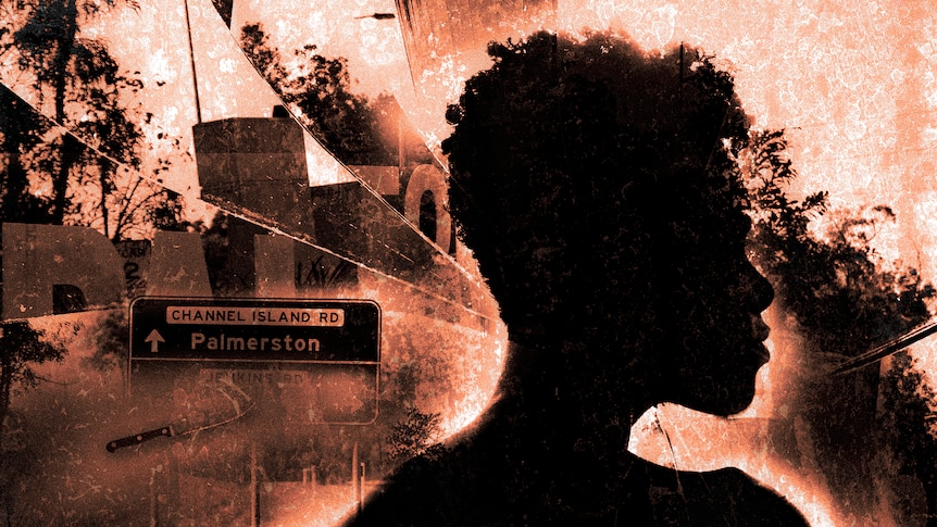 A graphic containing a silhouette of a side profile of a woman's face. A road sign that says 'Palmerston' is in the background