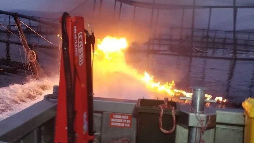 Photo of fire at a fish farm pen, seen from back of a boat.