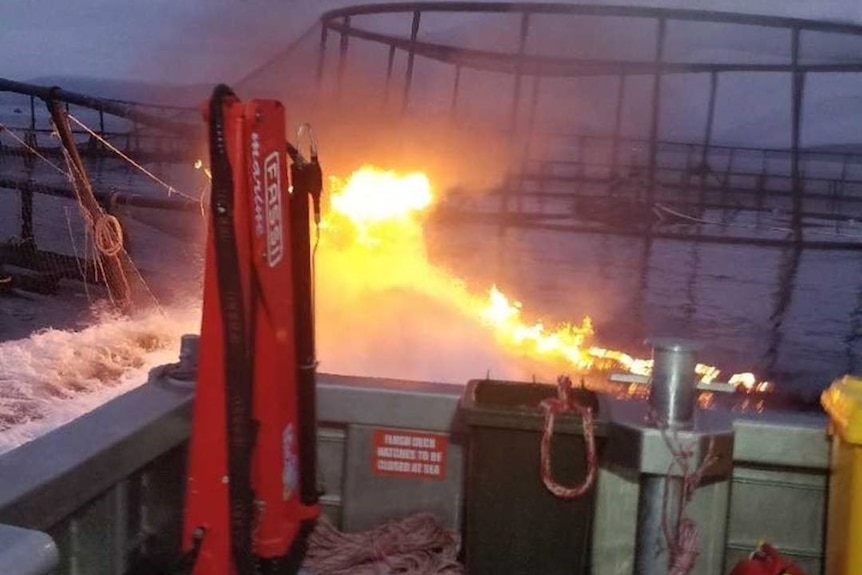 Photo of fire at a fish farm pen, seen from back of a boat.