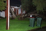 The strong winds damaged buildings and brought trees down in Adelaide.