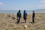 Three people standing next to oyster trial
