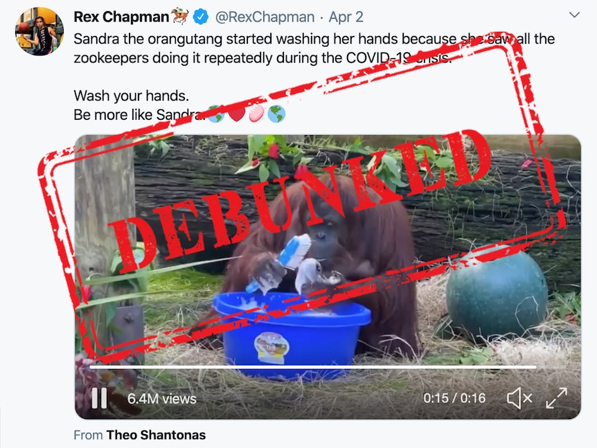 A tweet which claims an orangutang started washing her hands during the COVID-19 crisis, with a debunked stamp
