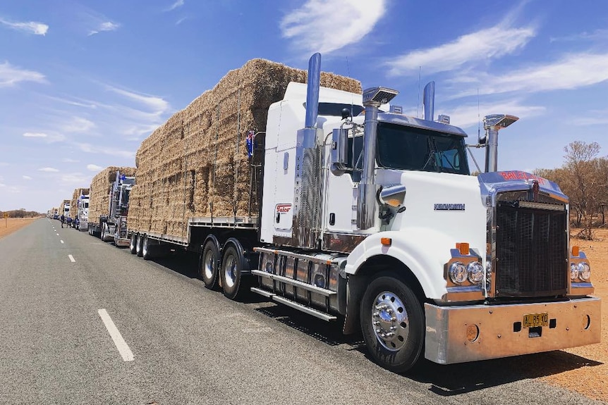 A convoy of over 180 trucks drives donated hay bales from NSW to QLD
