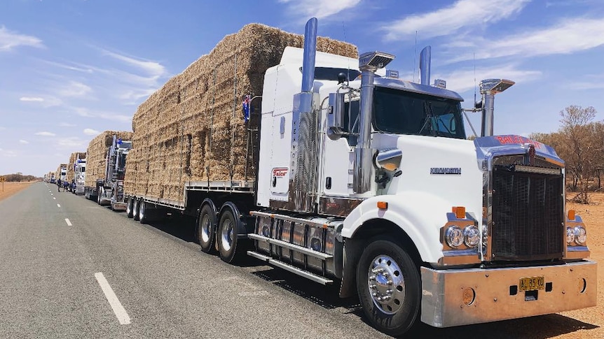 A convoy of over 180 trucks drives donated hay bales from NSW to QLD