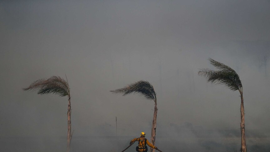 Palm trees sway in a gust of wind as a firefighter carries a water hose fighting the wildfires in Ventura.