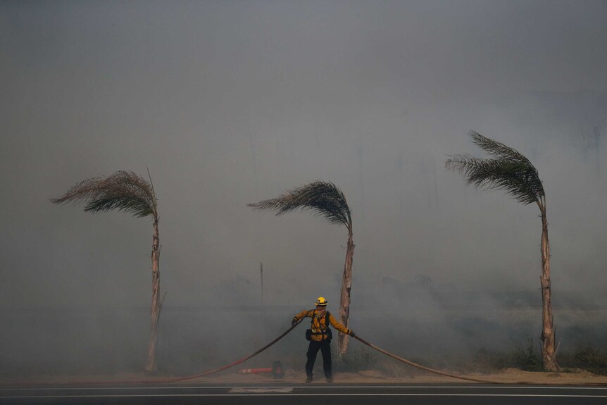 Palm trees sway in a gust of wind as a firefighter carries a water hose fighting the wildfires in Ventura.