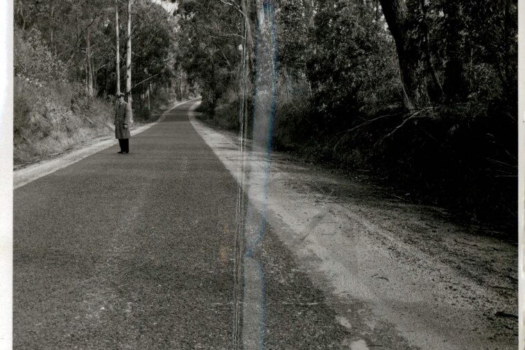 a black and white photo of a bitumen road with trees and scrub either side 