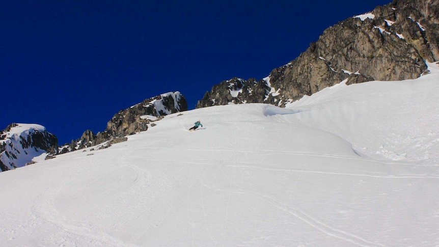 Tasmanian custom-made skis can handle high speeds around the world including in Whistler, Canada.