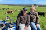 Young dairy farmers Ryan and Brighid Langley sit on a quad bike in lush green paddock filled with cows.