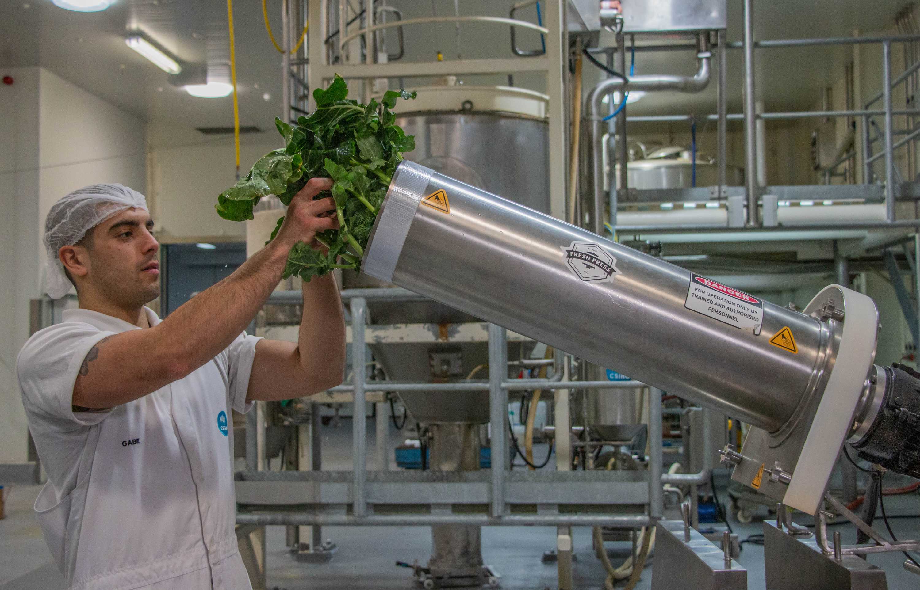 Cauliflower and broccoli pills: Turning vegetable waste into nutrient ...