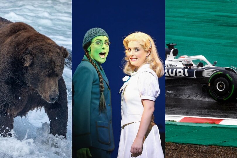 A composite image of a bear standing in water, two female actors on stage in a musical, and a Formula 1 car on a racetrack