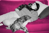 Georgia Brown lays on the couch with her cat and dog