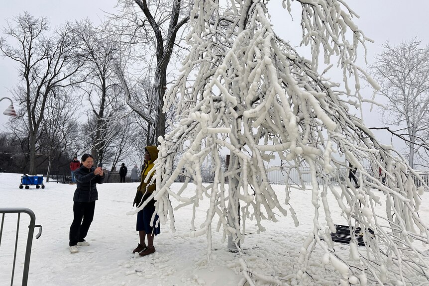 A woman poses by a frozen tree as another takes a photo of her on a mobile phone