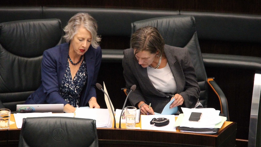 Greens Rosalie Woodruff and Cassy O'Connor lower their heads to look at a piece of paper in the Tasmanian Parliament.