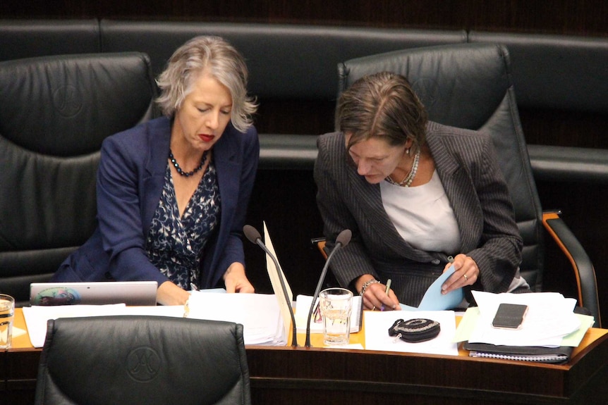 Greens Rosalie Woodruff and Cassy O'Connor lower their heads to look at a piece of paper in the Tasmanian Parliament.
