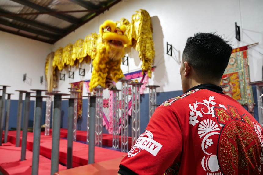 一个穿红衬衫的男人看着一只黄色的中国狮子站在两根杆子上