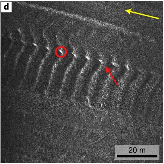 Black and white scan of seafloor ridges.