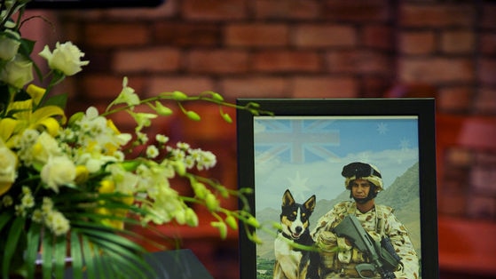 Sapper Darren Smith lost his life in a bombing while on patrol in Afghanistan.