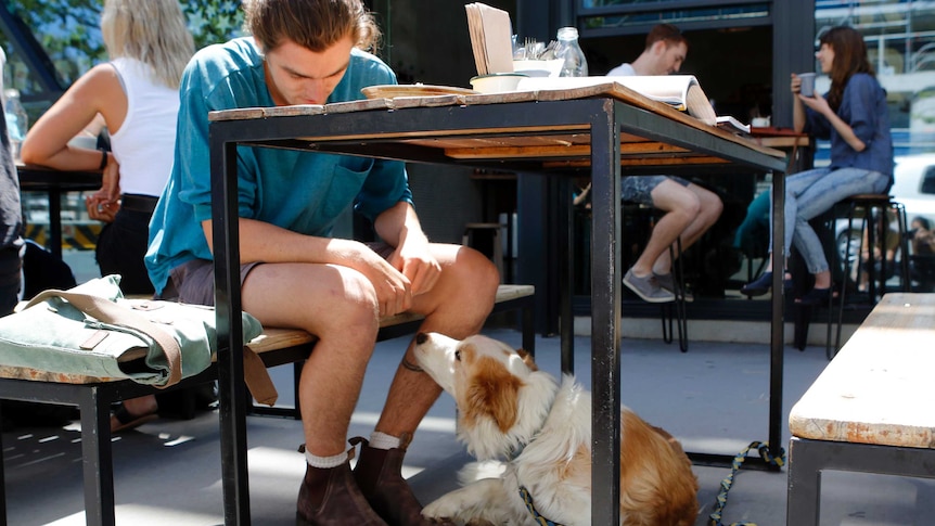 A man at a cafe with a dog under the table.